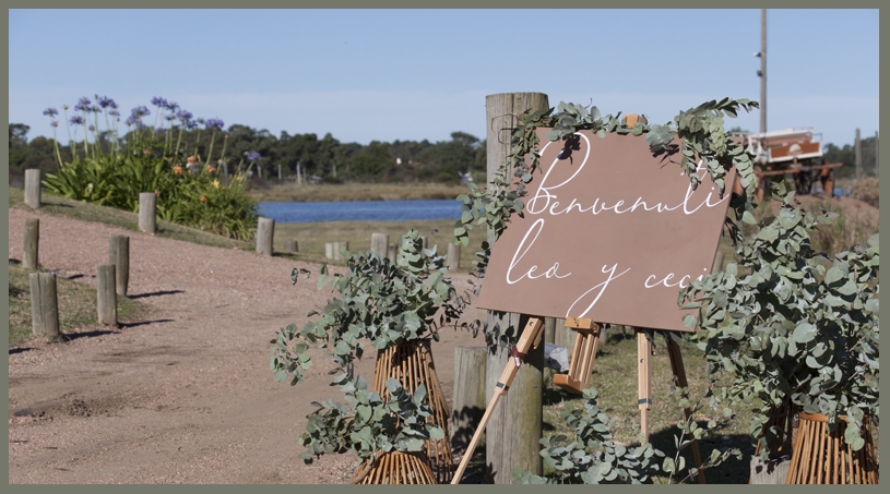 Bodas - NOI Decoraciones