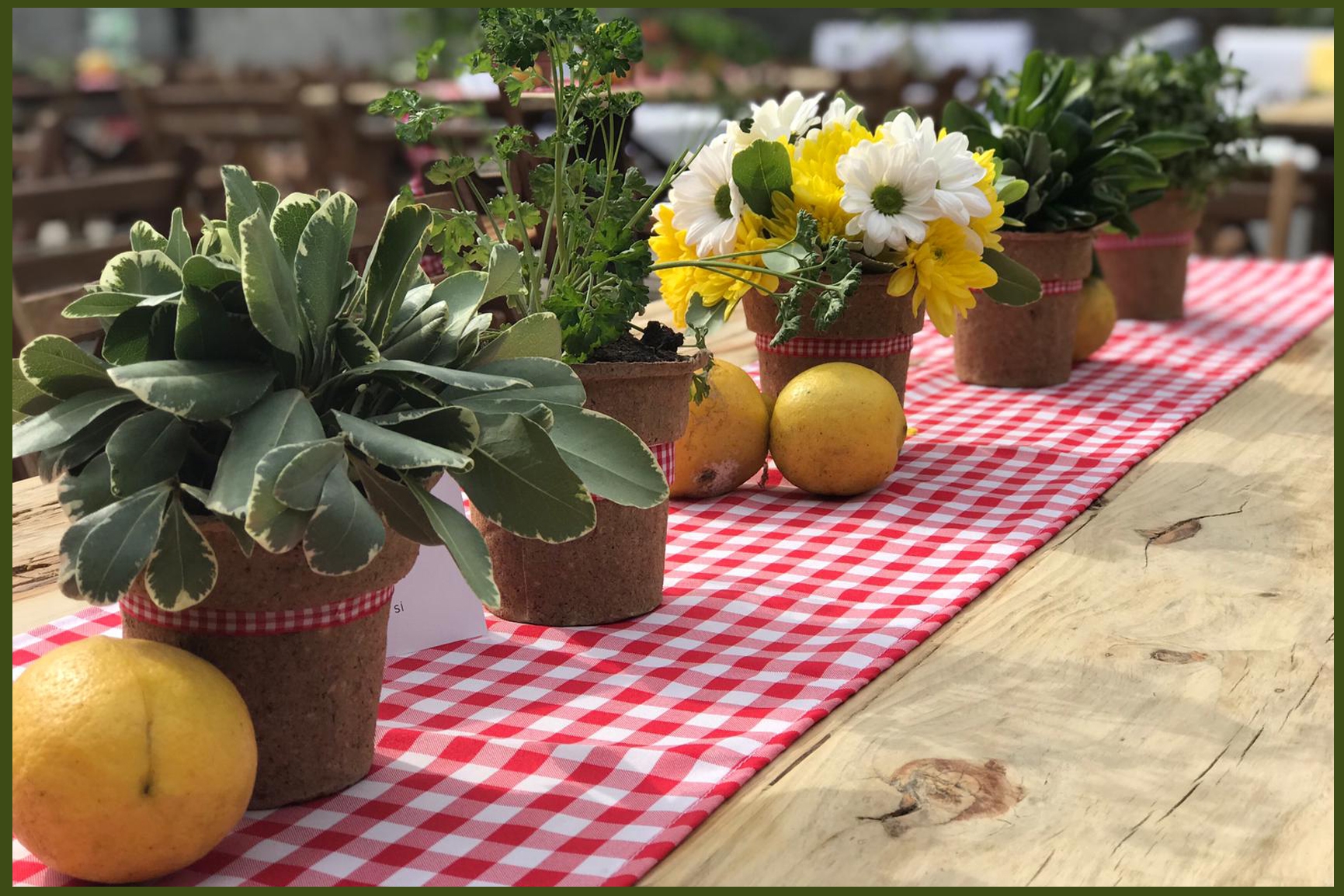 Bodas - NOI Decoraciones