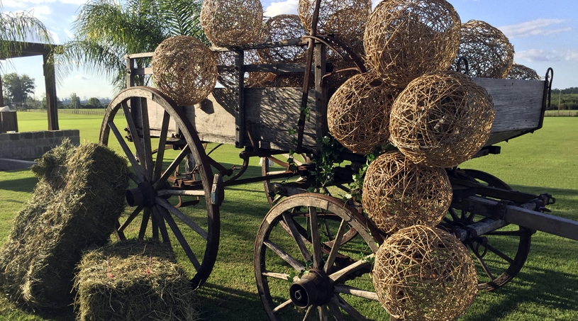 Bodas - NOI Decoraciones