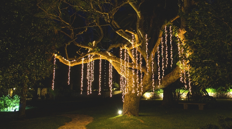 Bodas - NOI Decoraciones