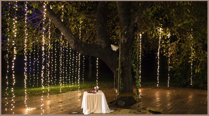 Bodas - NOI Decoraciones