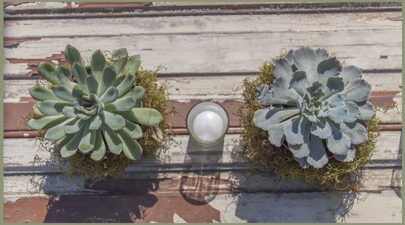 Bodas - NOI Decoraciones