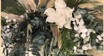 Bodas - NOI Decoraciones